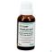 Ferrum-Homaccord gutt 30Ml Heel - Product 1