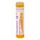 Vaccinotoxinum 15Ch gr 4G Boiron
