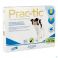Novartis Animal Health Sector Prac-Tic Spot-On A/vlo-Teek Kleine Hond Pip.1X3