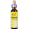 Bach Rescue Gutt 20ml
