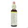 Bach Flower Remedie 23 Olive 20ml