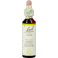 Bach Flower Remedie 23 Olive 20ml