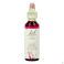 Bach Flower Remedie 19 Larch 20ml
