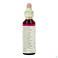 Bach Flower Remedie 19 Larch 20ml