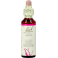 Bach Flower Remedie 19 Larch 20ml