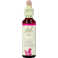 Bach Flower Remedie 24 Pine 20ml