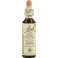 Bach Flower Remedie 30 Sweet Chestnut 20ml