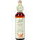 Bach Flower Remedie 06 Cherry Plum 20ml