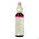 Bach Flower Remedie 11 Elm 20ml
