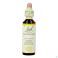 Bach Flower Remedie 16 Honeysuckle 20ml