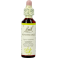 Bach Flower Remedie 16 Honeysuckle 20ml