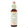 Bach Flower Remedie 26 Rock Rose 20ml