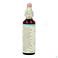 Bach Flower Remedie 32 Vine 20ml