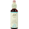 Bach Flower Remedie 32 Vine 20ml