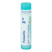 Pulsatilla Xmk gr 4G Boiron
