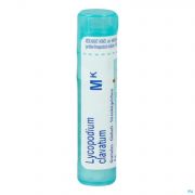 Lycopodium Clavatum Mk gr 4G Boiron