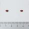 Pharma Nord Bio-Carotene + E 60 Capsules - Aspect 2