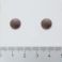 Pharma Nord Selenium + Zinc 150 Comprimes - Aspect 2
