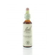 BACH FLOWER 16 HONEYSUCKLE 20 ML 