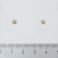 Pharma Nord Bio-Pycnogenol 60 Capsules - Aspect 2