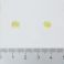 Pharma Nord D-Pearls 800 40 Capsules - Aspect 1