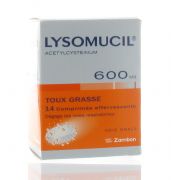 LYSOMUCIL 600 COMPRIMES EFFERVESCENTS 14 X 600 MG                 