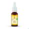 Fleurs de Bach Bio N°33 Walnut 20ml