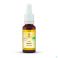 Fleurs de Bach Bio N°33 Walnut 20ml