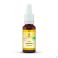 Fleurs de Bach Bio N°04 Centaury 20ml