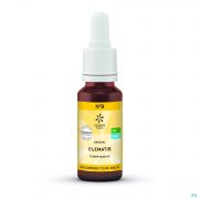 Bach Bloesems Bachbloesem Bio N°09 Clematis 20Ml