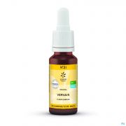Bach Bloesems Dr Bach Bio N31 Vervain 20 ml