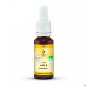 Bach Bloesems Dr Bach Bio N2 Aspen 20 ml