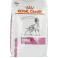 Royal Canin Chien Renal Dry 2 kg