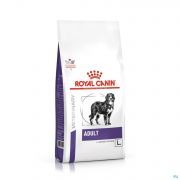 Royal Canin Chien Large Dog Adulte Dry 13 kg - Vue détail 1