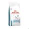 Royal Canin Chien Skin Care Small Dog Dry 2 kg