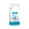 Royal Canin Cat Adult Dry 2Kg