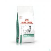 Royal Canin Dog Diabetic Dry 12Kg - Detail 1