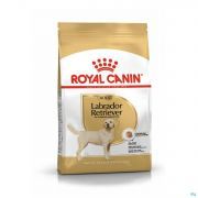 Royal Canin Dog Labrador Retriever Adult Dry 12Kg - Product 1
