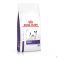 Royal Canin Dog Adult Small Dog Dry 2Kg