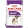 Royal Canin Chien giant Adulte Dry 15 kg