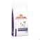 Royal Canin Chien Neutered Adulte Small Dog Dry 1,5 kg