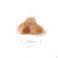 Royal Canin Chien Pug Adulte Dry 1,5 kg - Produit 1