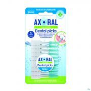 Axoral Pro-Clean Dental Picks S 40