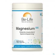Magnesium 500 Be Life Pot Gel 50
