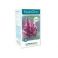 Nutrisan Nutrizinc Synergy 90 Capsules