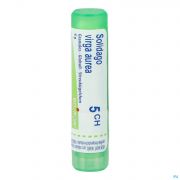 Solidago Virgaurea 5Ch gr 4G Boiron