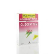 Holisitca Oligophytum Mn-Cu 300 Comprimes