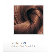 BIONIKE SHINE ON SOIN COLORANT CHEVEUX 5.4        