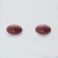 Tilman Flexofytol 60 Capsules - Aspect 2