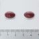 Tilman Flexofytol 60 Capsules